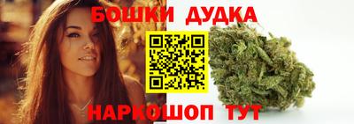 ECSTASY Новозыбков