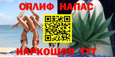гашик Нальчик