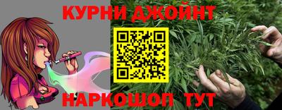 ECSTASY Новозыбков