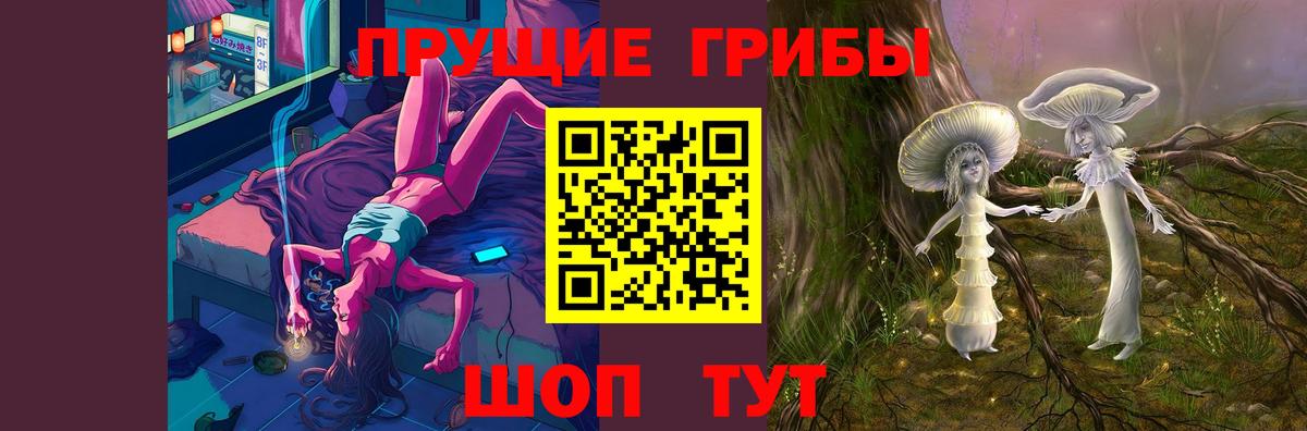 Галлюциногенные грибы Psilocybe Ухта