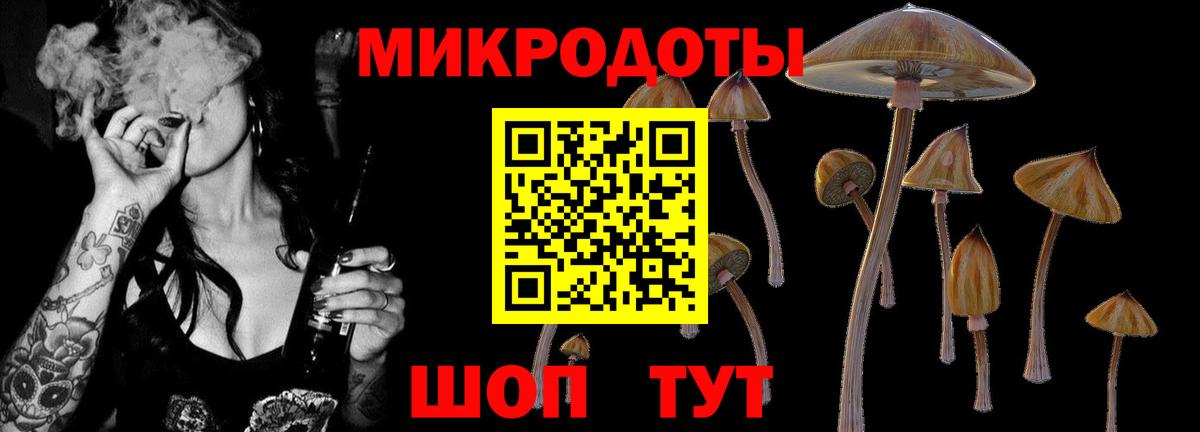 Псилоцибиновые грибы ЛСД  Псилоцибиновые грибы GOLDEN TEACHER  Вход с VPN  Ухта 